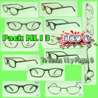 PML13